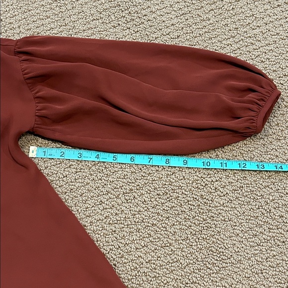 Amanda Uprichard Brown Peasant Sleeve Blouse size Small - Picture 12 of 13